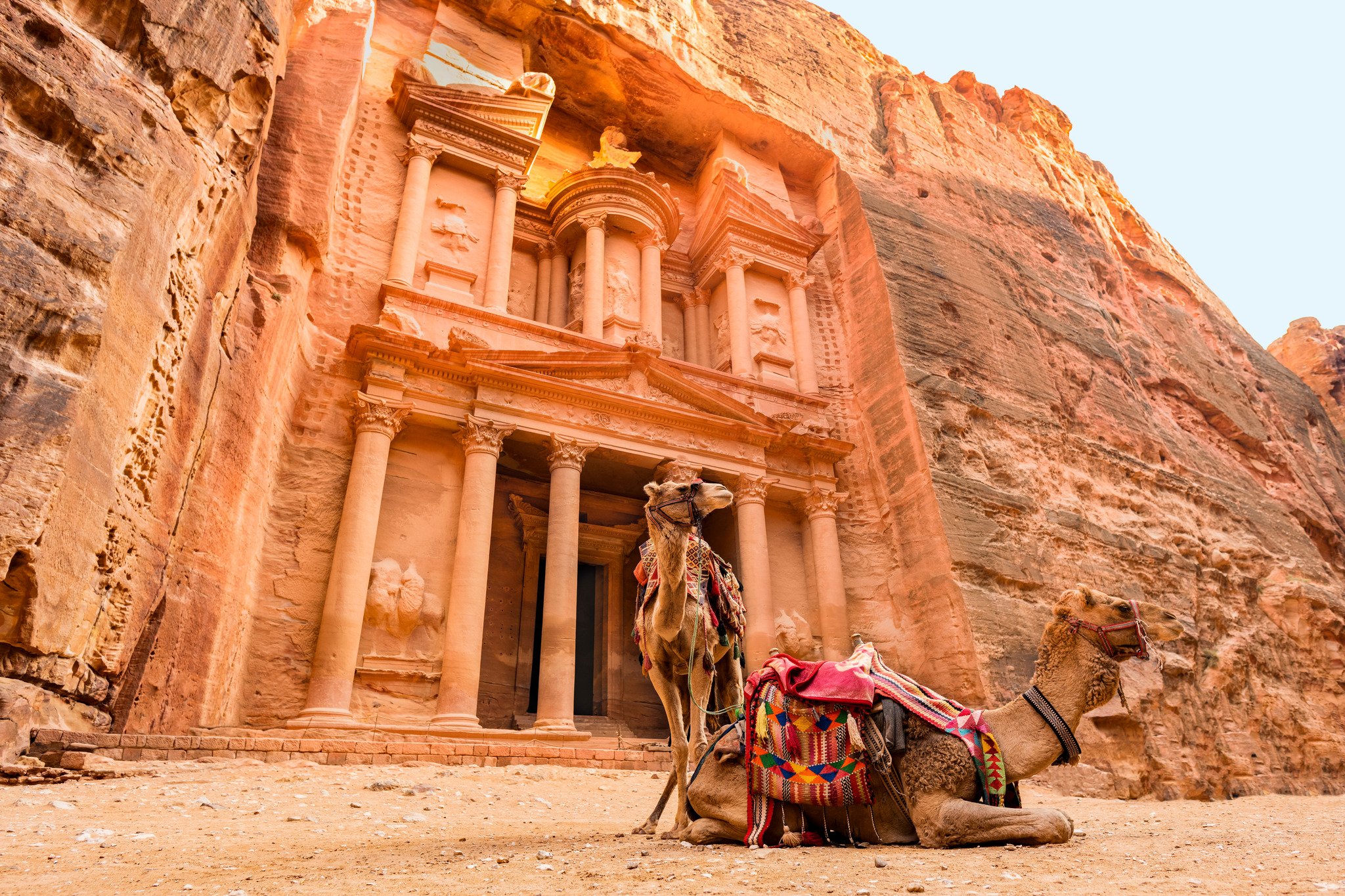 Camel In Front Of Petra Treasury Wadi Musa Jordan