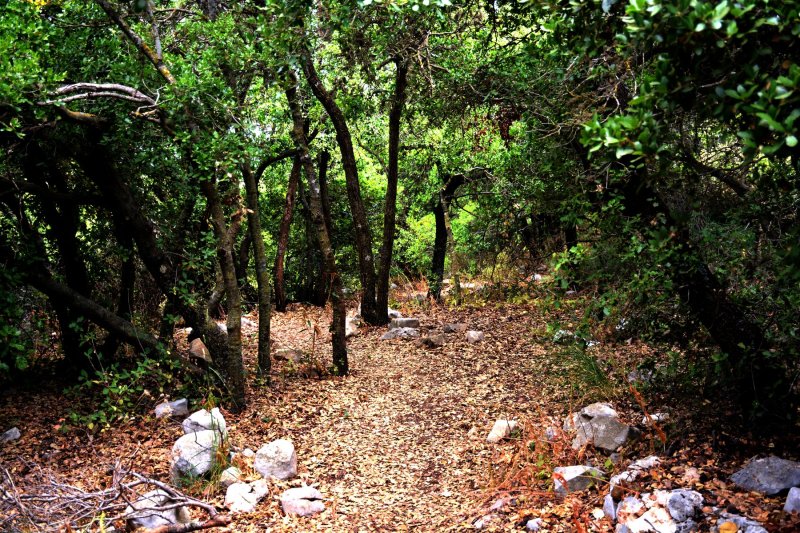 Ajloun Nature Reserve Views