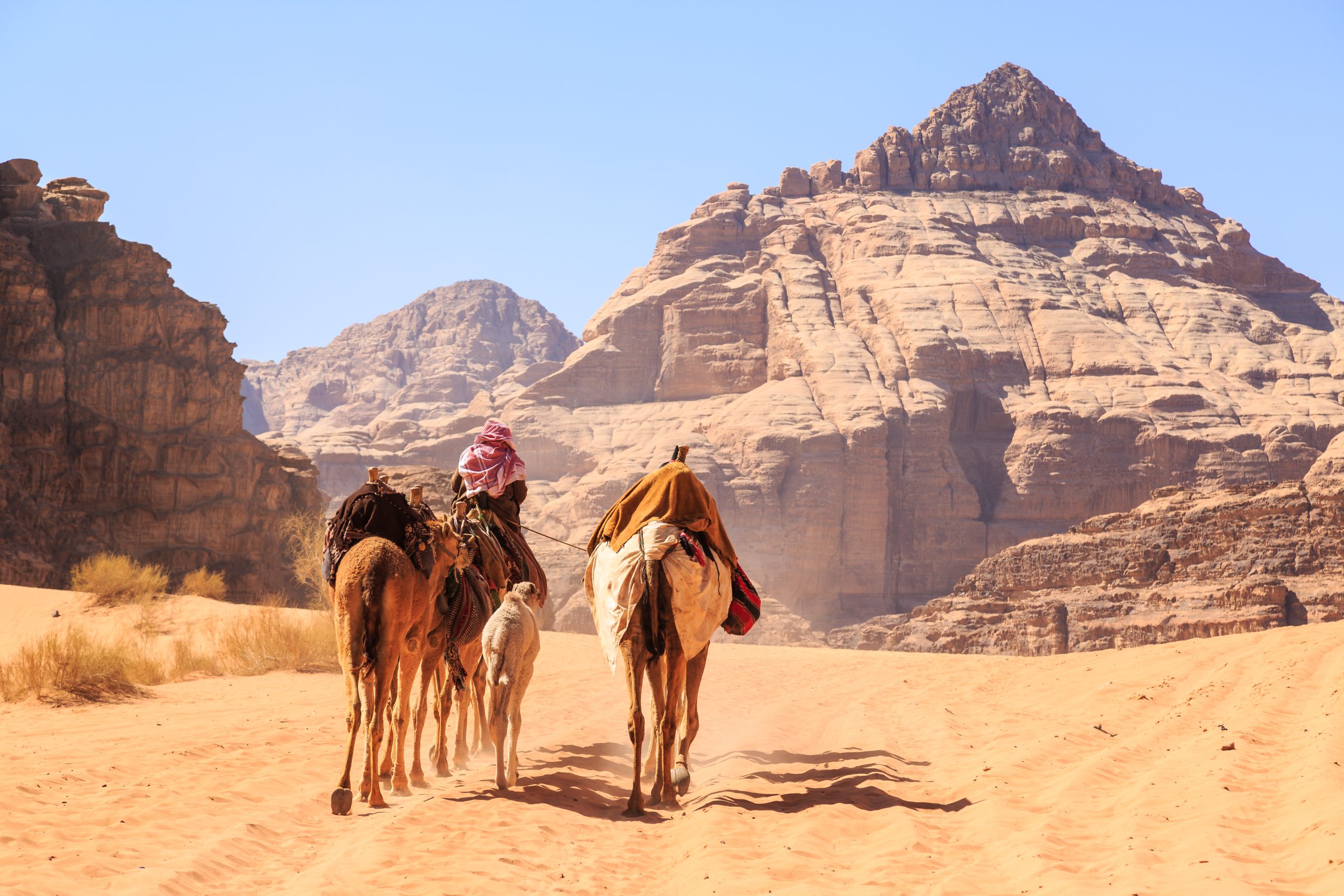 Camel Caravan Wadi Rum Desert