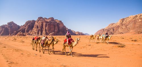 Shutterstock 1381553597 Scaled