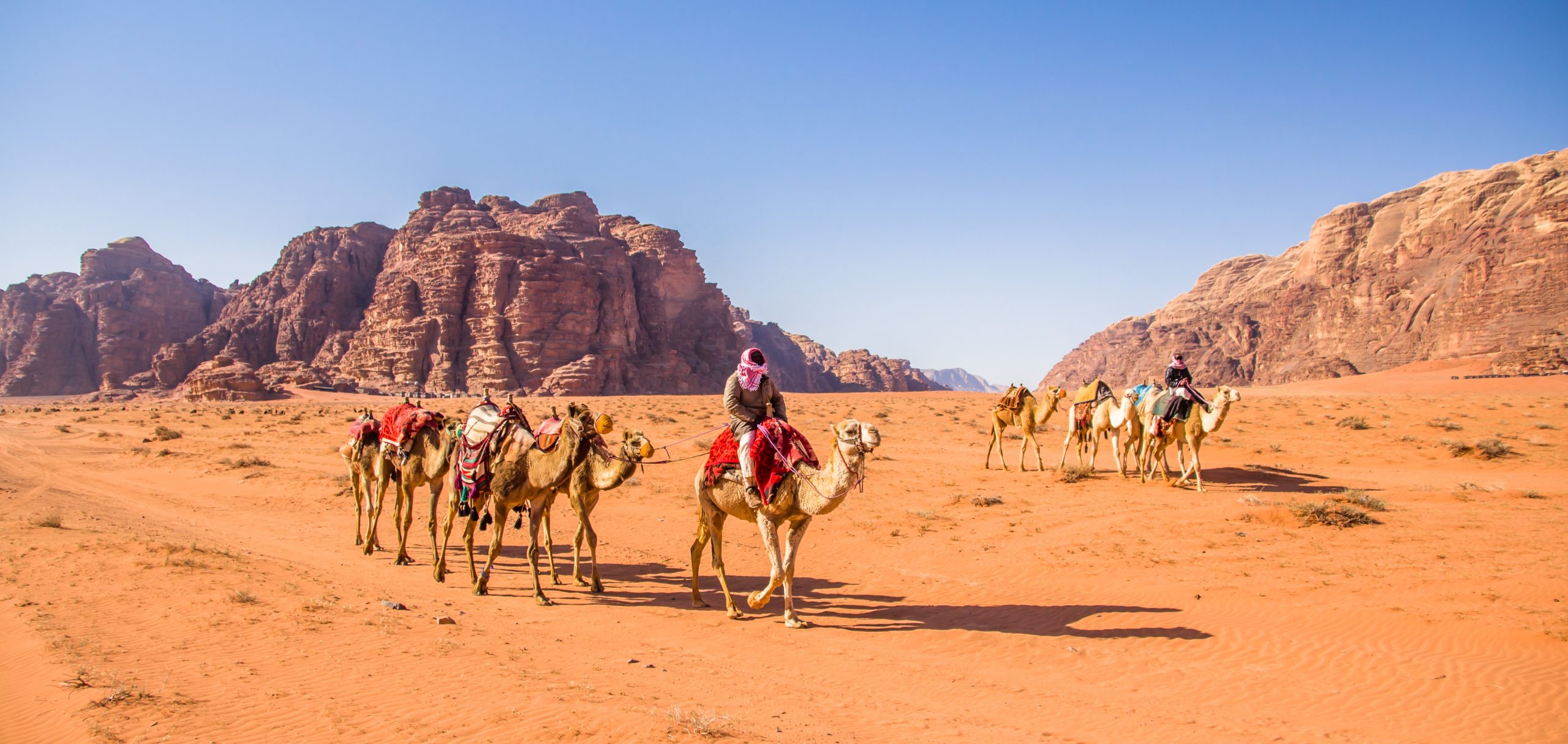 Shutterstock 1381553597 Scaled