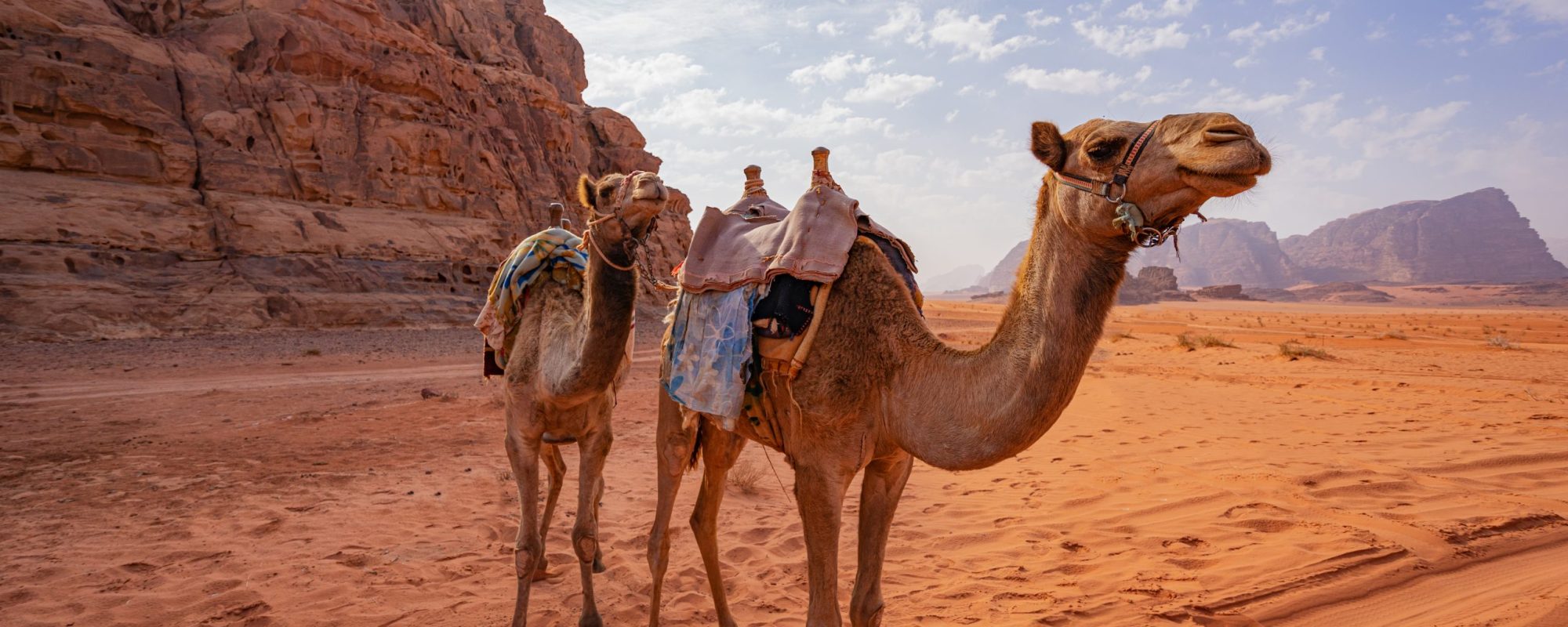 Wadi Rum
