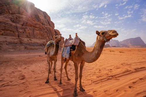 Wadi Rum